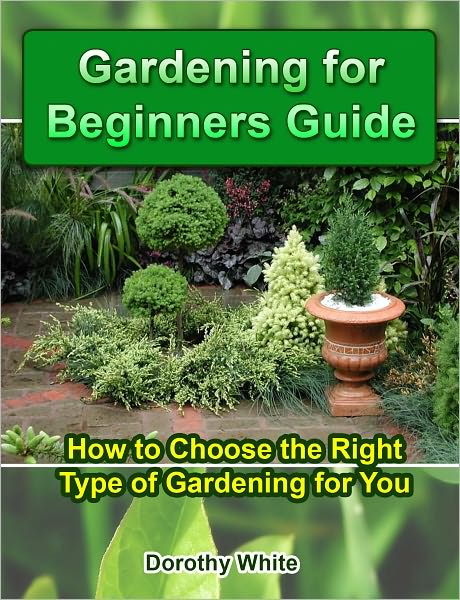 Gardening for Beginners Guide: How to Choose the Right Type of Gardening for You