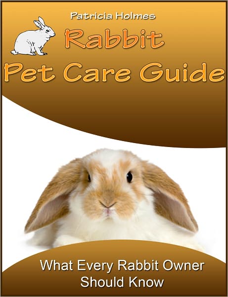 Rabbit Pet Care Guide: What Every Rabbit Owner Should Know