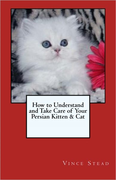How to Understand and Take Care of Your Persian Kitten & Cat