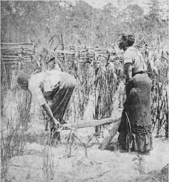 Ten Years on a Georgia Plantation Since the War