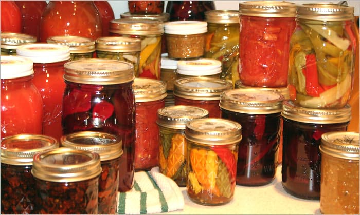 Agricultural Bacteriology; Theoretical and Practical