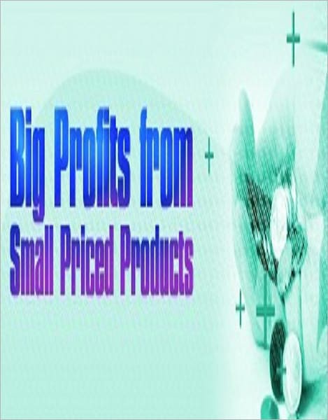 eBook about Big profits from small priced products - Are You Ready to Put Your Business Through A RECESSSION PROOF REHAB?