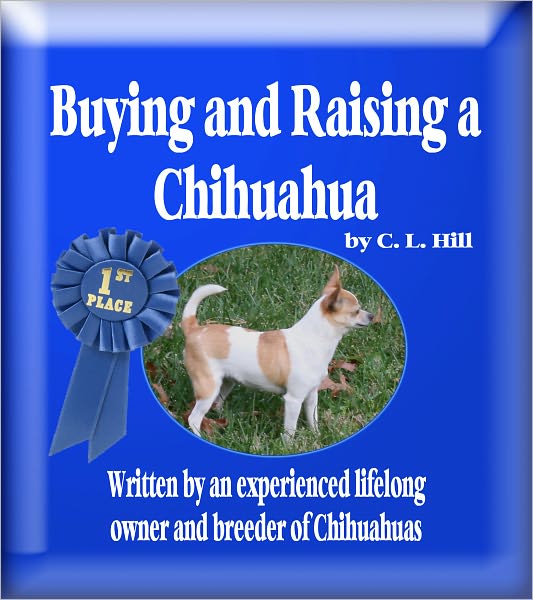 Buying and Raising a Chihuahua