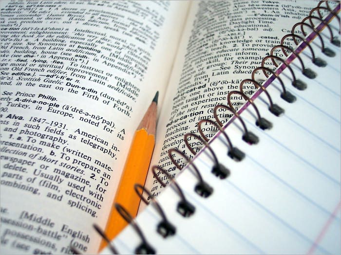 Resume Writing Guide: How to Write a Resume Like a Professional