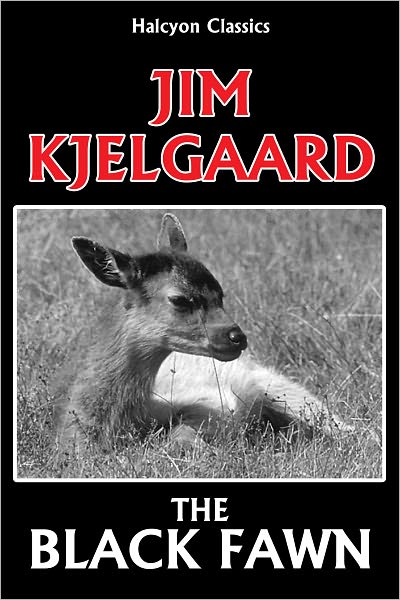 The Black Fawn by Jim Kjelgaard