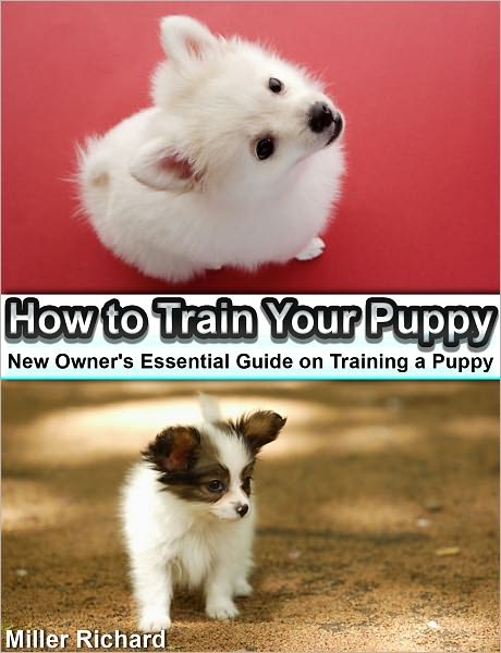 How to Train Your Puppy: New Owner's Essential Guide on Training a Puppy