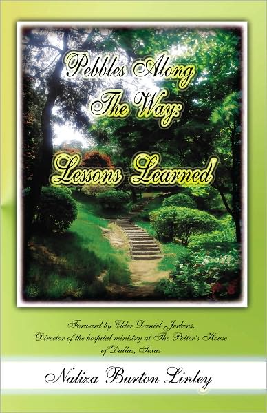 Pebbles Along the way: Lessons learned