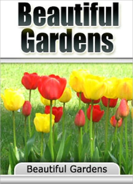 Beautiful Gardens