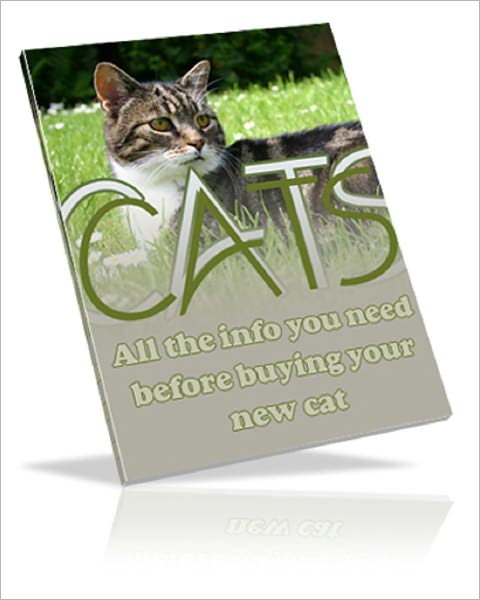 All About Cats