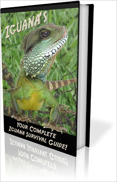 Your Complete Iguana Survival Guide