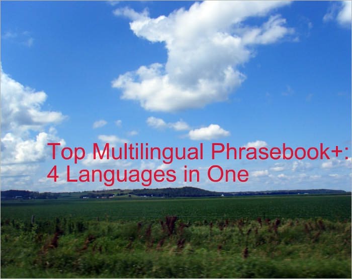 The Top Haitian Creole Multilingual Phrasebook+ : Read Free and Learn 4 Romance Languages in one Book : Haitian Creole, French, Spanish, and English