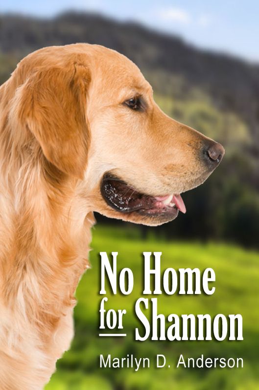 No Home for Shannon
