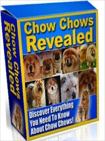 Chow Chows Reveale Study Guide - Can you get along with a Chow Chow? d