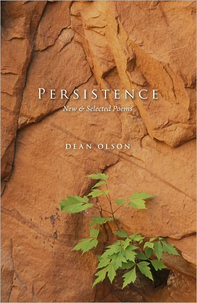 Persistence