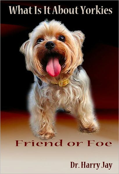 What Is It About Yorkies?