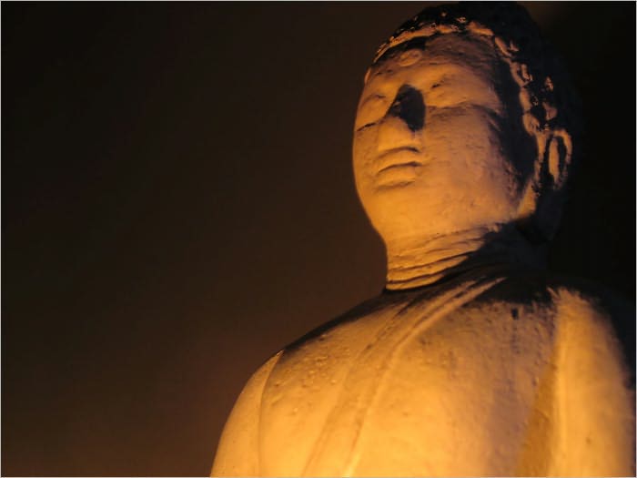 Meditation for Beginners: What You Need to Survive This Crazy World