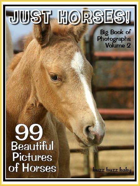 99 Pictures: Just Horse Photos! Big Book of Photographs Vol. 2b