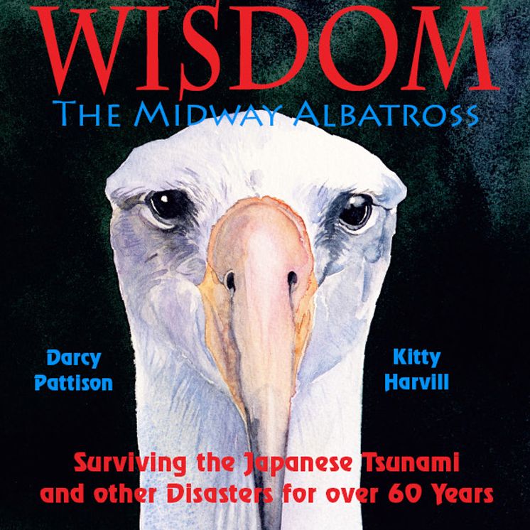 Wisdom, the Midway Albatross: Surviving the Japanese Tsunami and Other Disasters for Over 60 Years