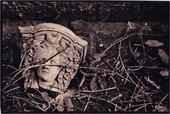 The Blooding of Priscilla