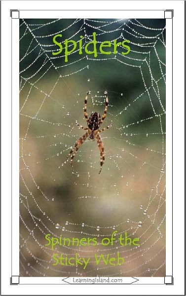 Spiders: Spinners of the Sticky Web
