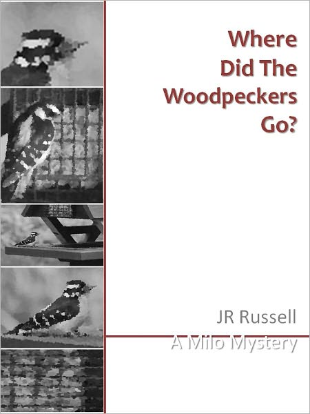 Where Did the Woodpeckers Go?