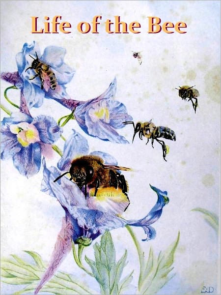 The Children's Life of the Bee [Illustrated]