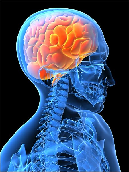 The General Problems of Psychology. Conceptions