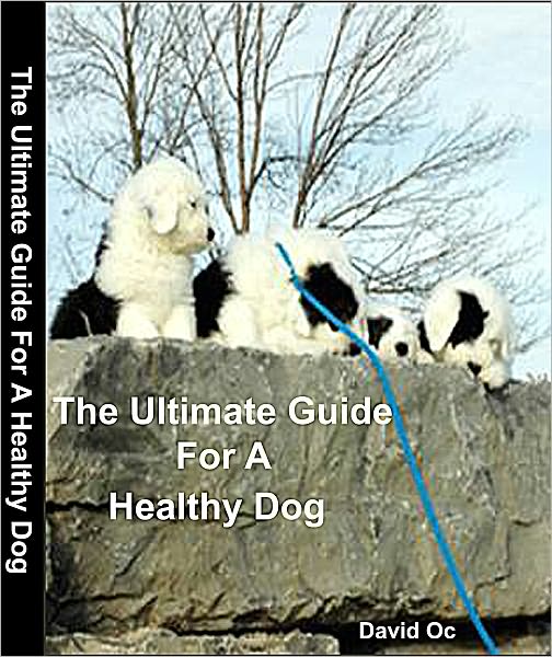The Ultimate Guide For A Healthy Dog