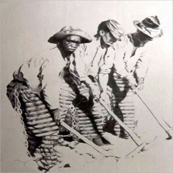 The Negro: the southerner's problem