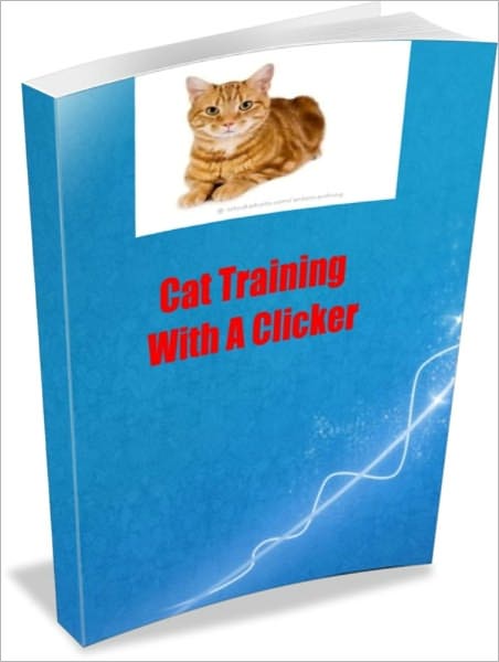 Cat Training With A Clicker