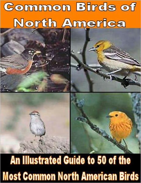Common Birds of North America: An Illustrated Guide to 50 of the Most Common North American Birds