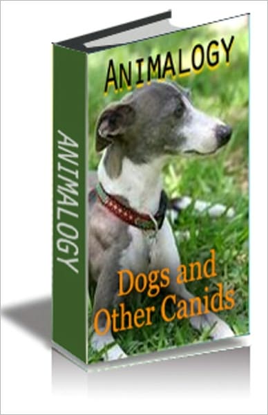 ANIMALOGY: DOGS & OTHER CANIDS