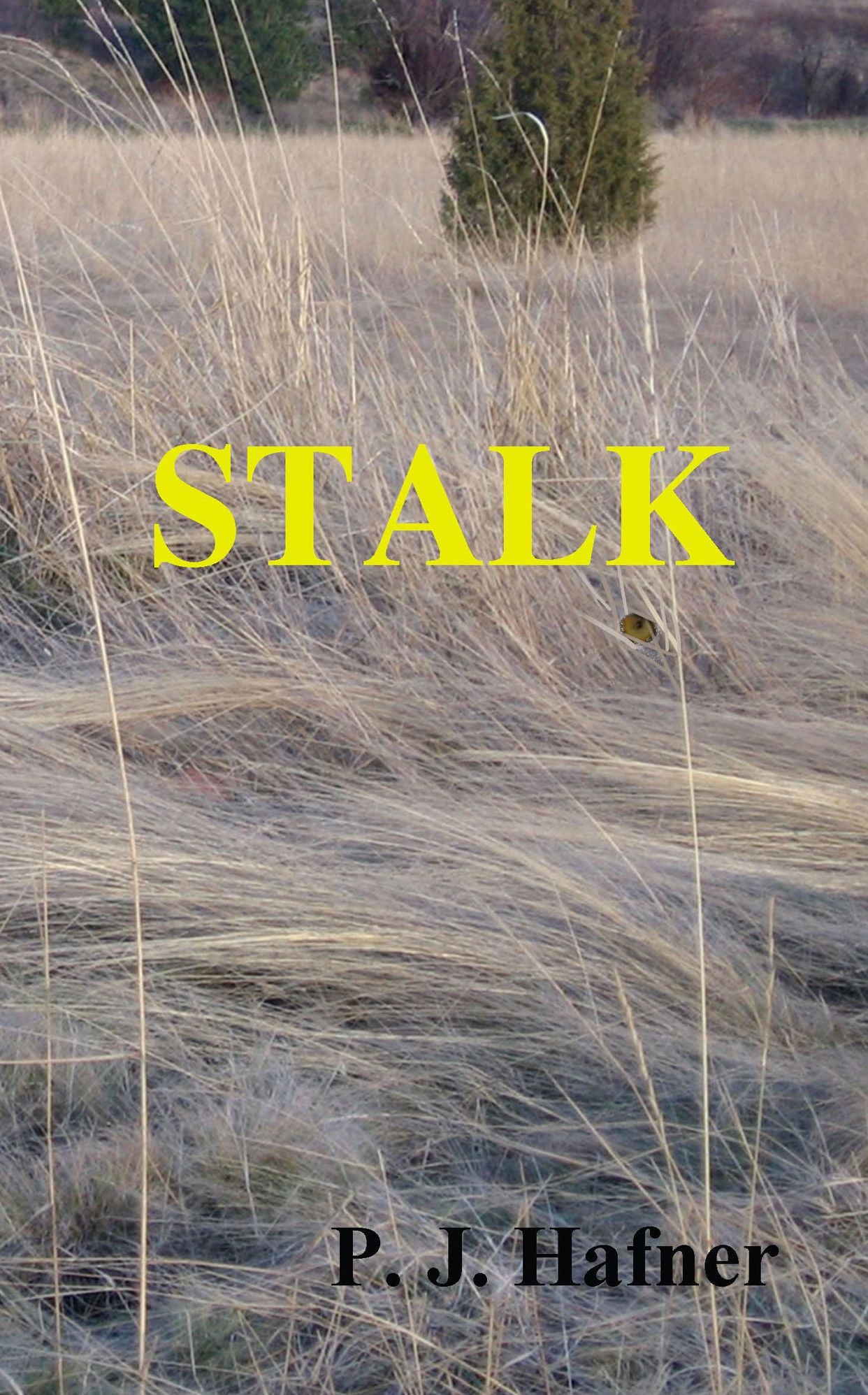 Stalk