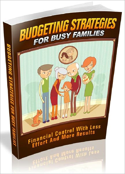 Budgeting Strategies For Busy Families - Financial Control With Less Effort And More Results (Brand New)
