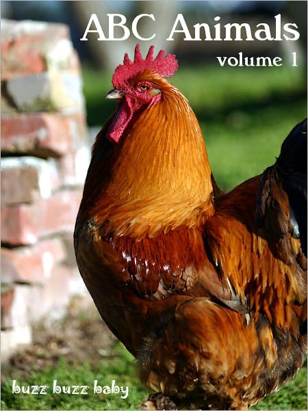 ABC Words and Pictures: Animals, Vol. 1