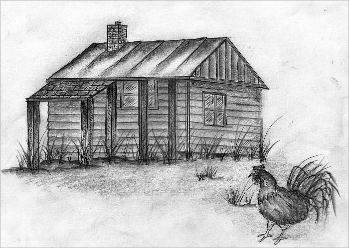 Chicken & Me