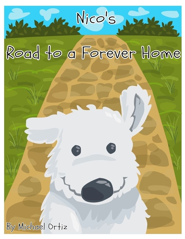 Nico's Road to a Forever Home