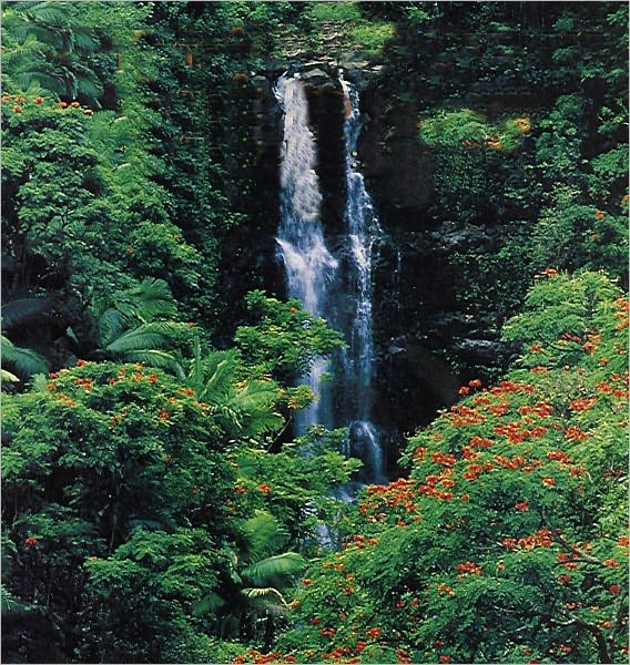 Garden of Eden