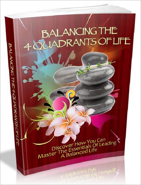 Balancing The 4 Quadrants Of Life - Discover how you can master the essentials of leading a balanced life (The Self Discovery Series 1)