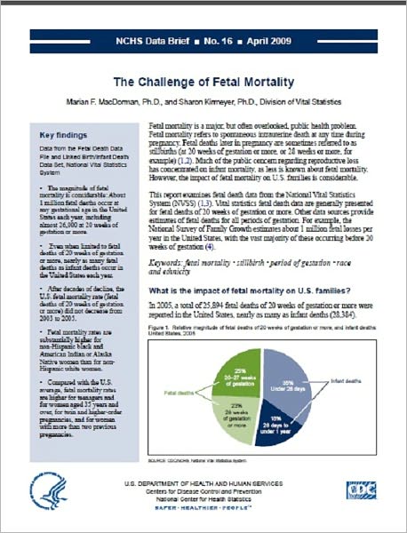 The Challenge of Fetal Mortality