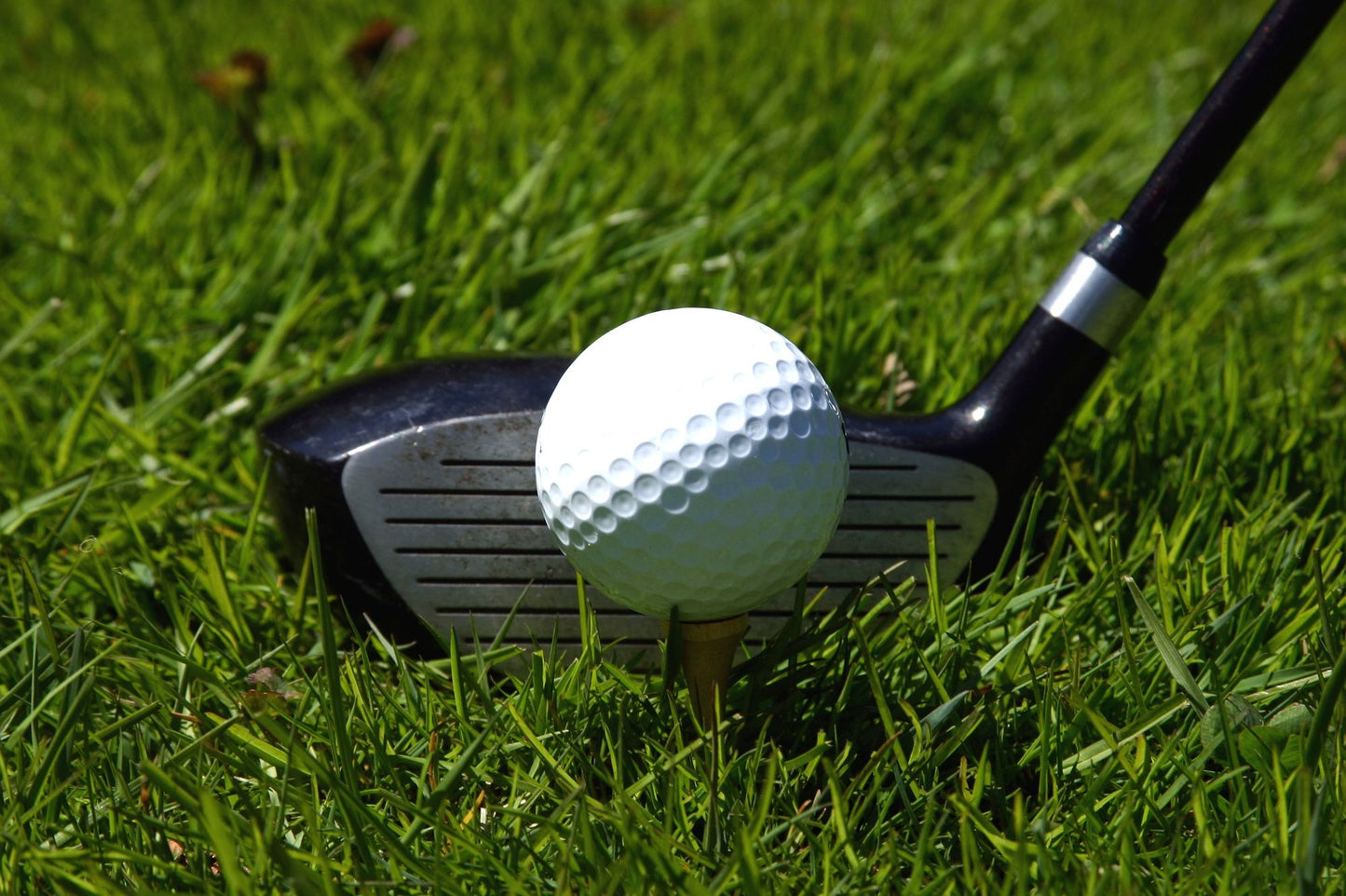 Golf, Golf, GOLF!