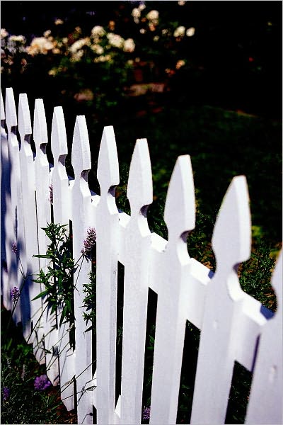 Good Fences