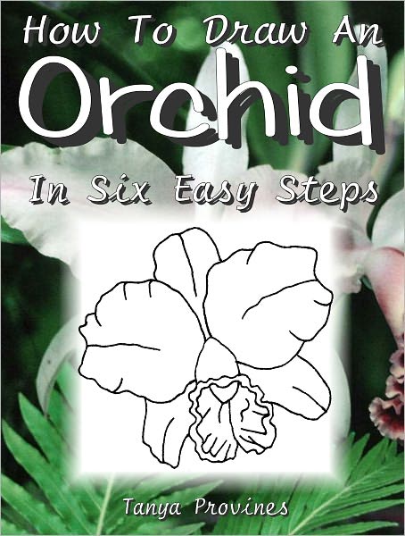 How To Draw An Orchid In Six Easy Steps