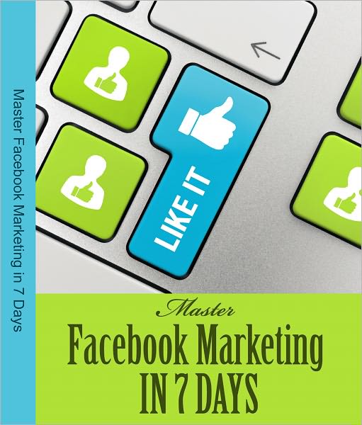 Facebook Marketing Dummies The Professional Edition