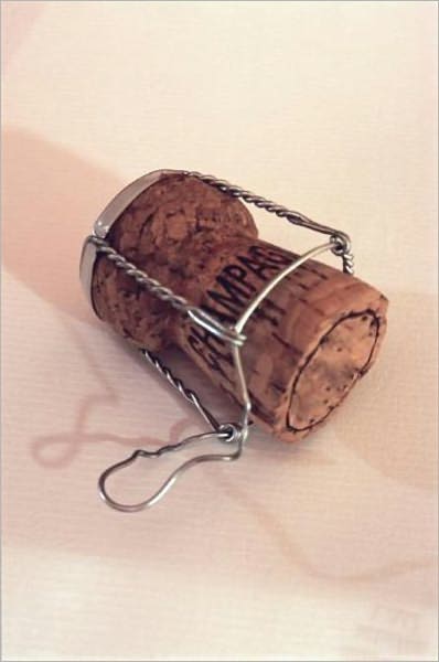 Facts About Champagne and Other Sparkling Wines (Illustrated)