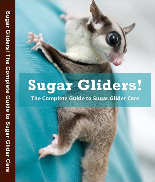 The Guide to Owning a Sugar Glider Professional Edition
