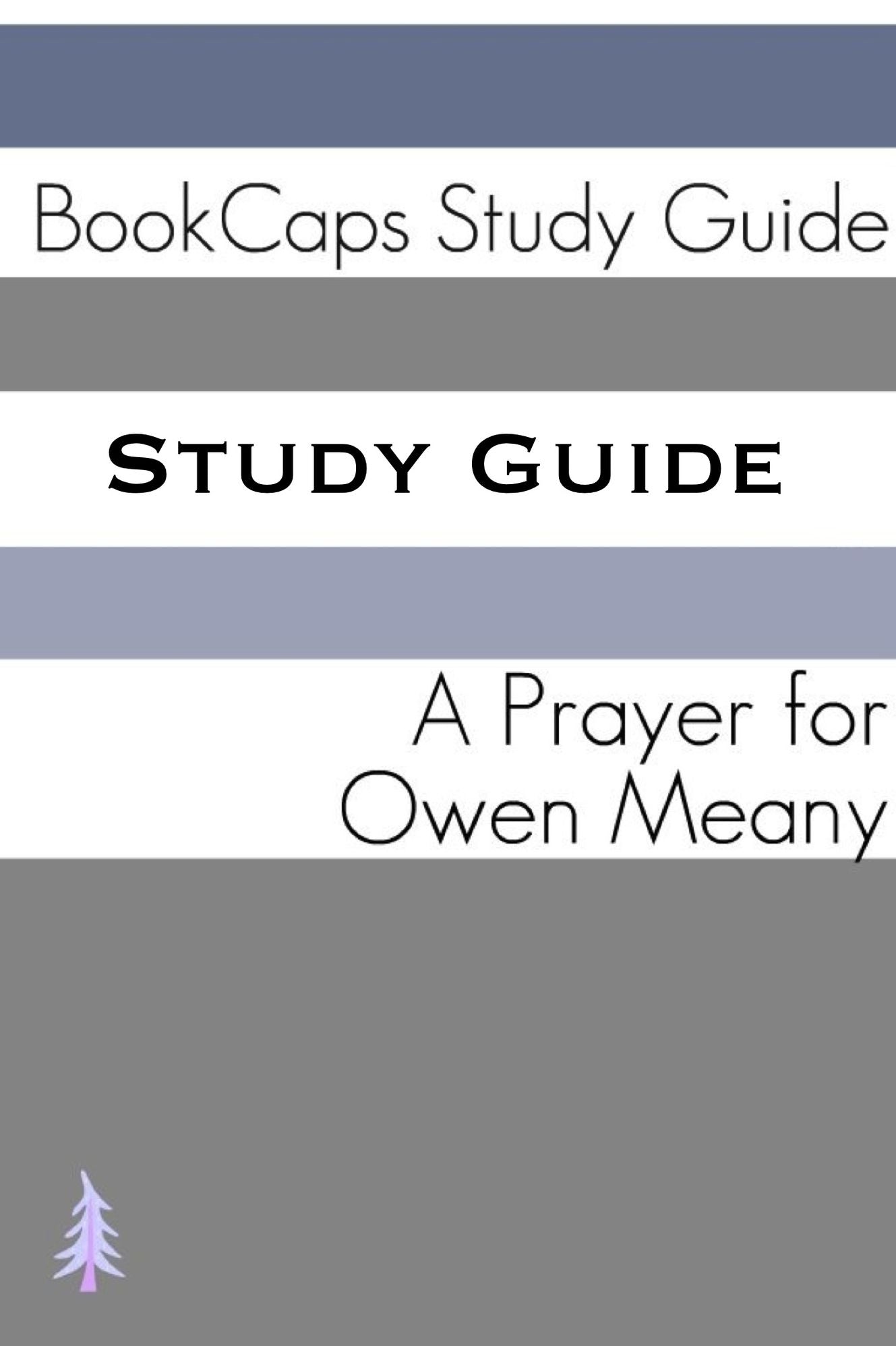 Study Guide: A Prayer for Owen Meany (A BookCaps Study Guide)