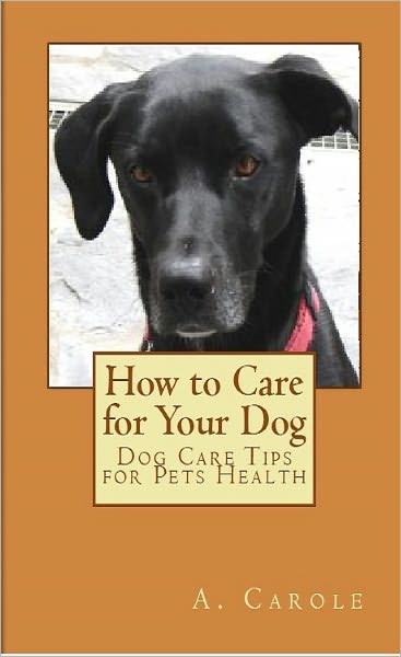 How to Care for Your Dog