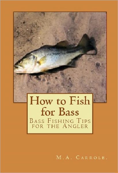 How to Fish for Bass:Bass Fishing Tips for the Angler