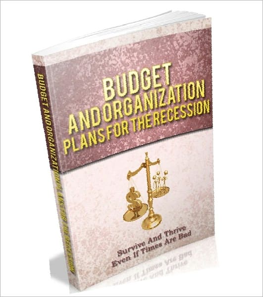 eBook about Budget And Organization Plans For The Recession